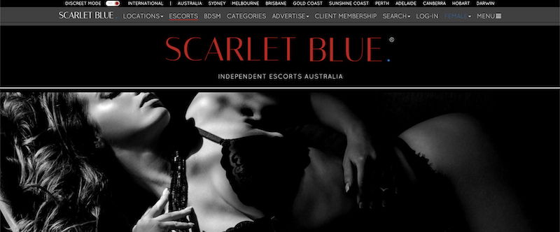 scarlet blue escorts review