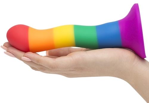 NS Novelties - Rainbow Silicone Curved Suction Cup Dildo