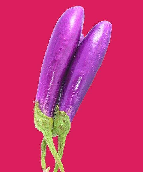 eggplant dildos